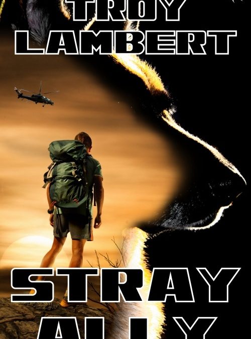 Stray Ally Launches today!